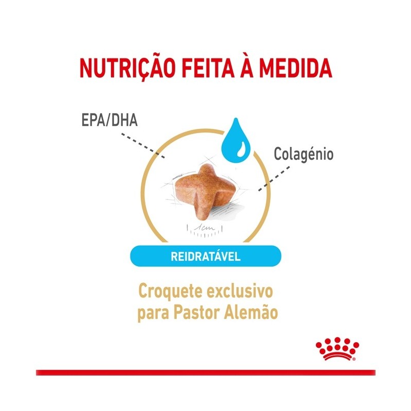 Ração para cão Royal Canin Pastor Alemão 5+