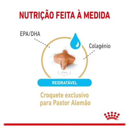 Ração para cão Royal Canin Pastor Alemão 5+
