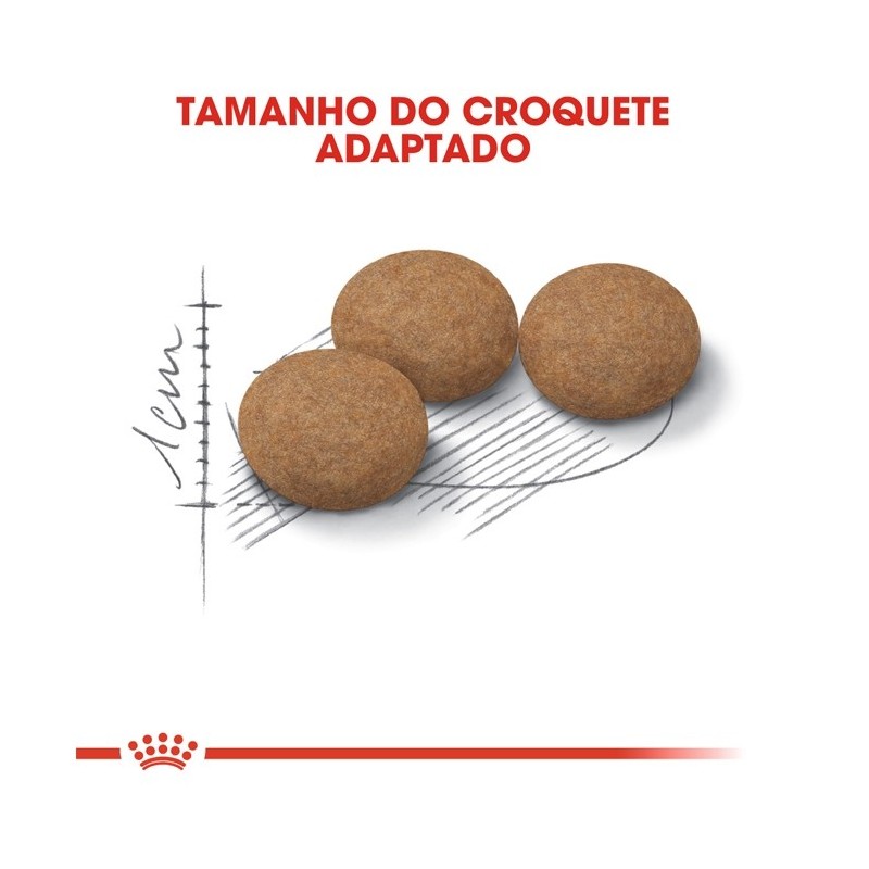 Ração para gato Royal Canin Ageing Sterilised 12+