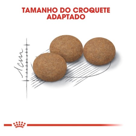 Ração para gato Royal Canin Ageing Sterilised 12+