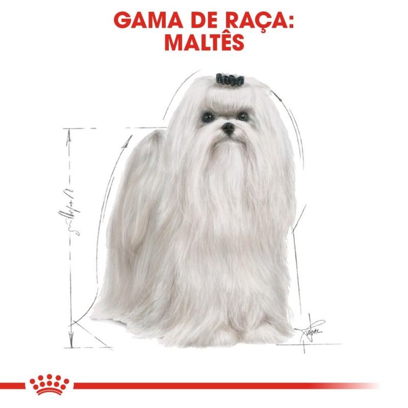Ração para cão Royal Canin Maltese