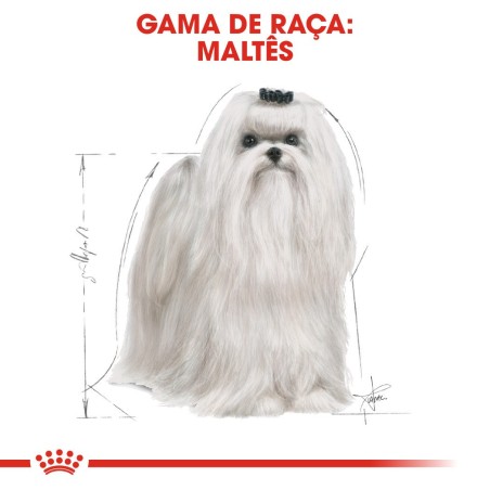 Ração para cão Royal Canin Maltese