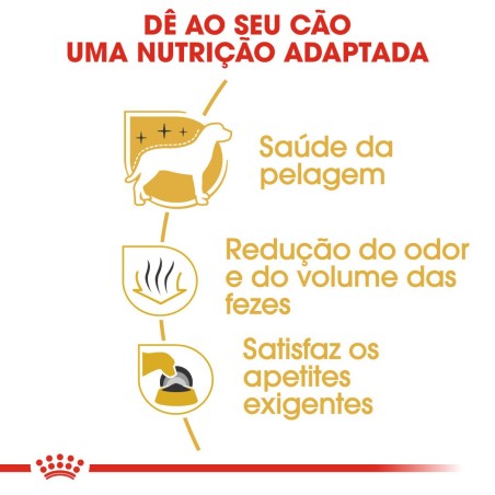 Ração para cão Royal Canin Maltese