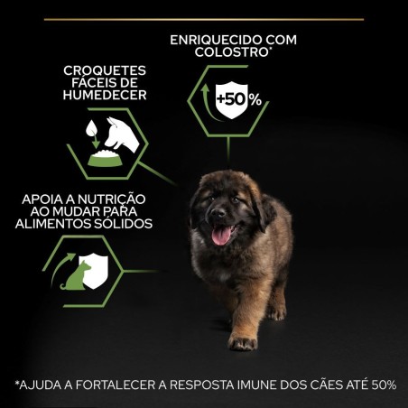 Ração para cão Pro Plan Starter Large Mother & Puppies