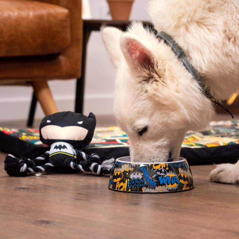 Taça Batman para cão - Warner Bros
