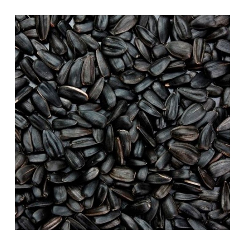 Versele-Laga - Girassol Preto