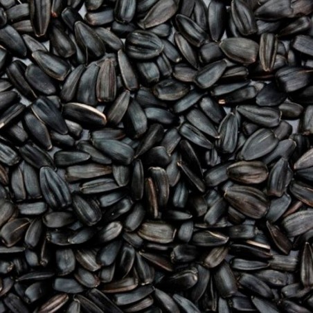 Versele-Laga - Girassol Preto