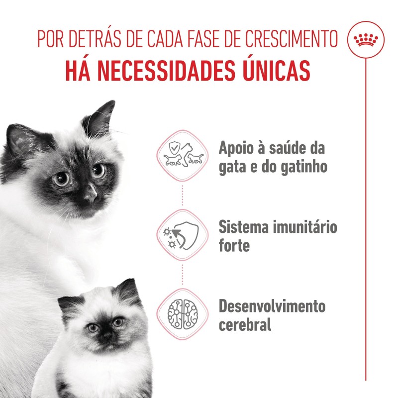 Ração para gato Royal Canin Mother and Babycat