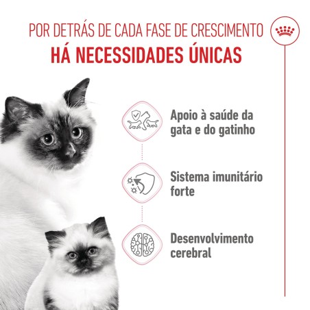 Ração para gato Royal Canin Mother and Babycat