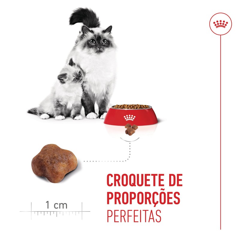 Ração para gato Royal Canin Mother and Babycat