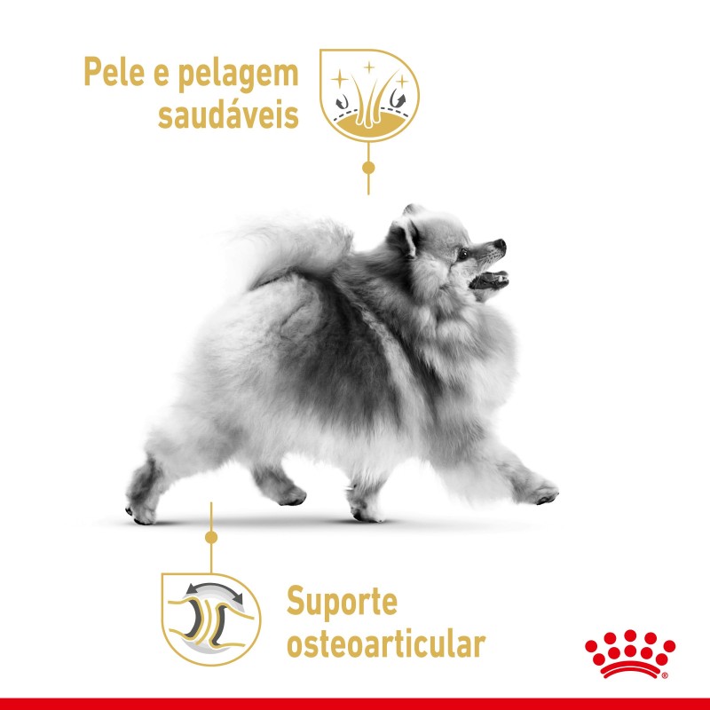 Ração para cão Royal Canin Pomerian