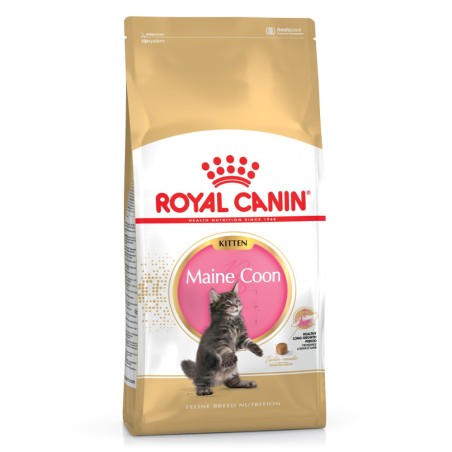 Ração para gato Royal Canin Maine Coon Kitten
