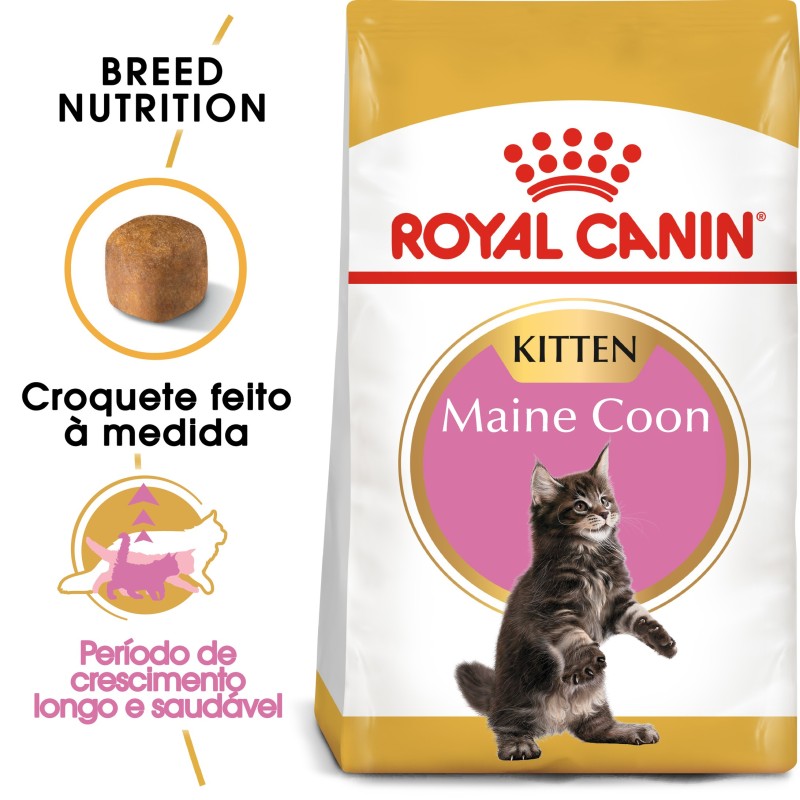 Ração para gato Royal Canin Maine Coon Kitten