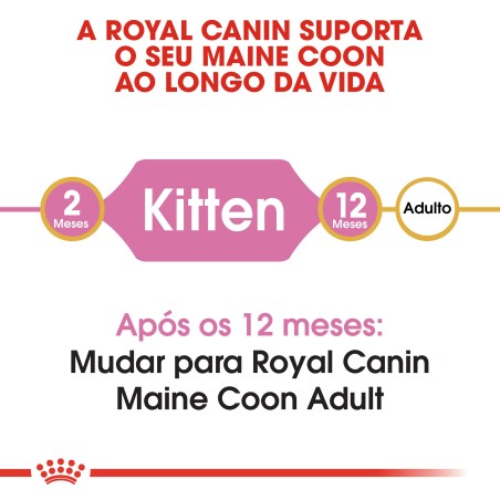 Ração para gato Royal Canin Maine Coon Kitten