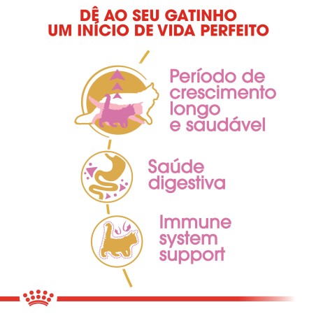 Ração para gato Royal Canin Maine Coon Kitten