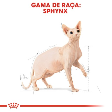 Ração para gato Royal Canin Sphynx Adulto