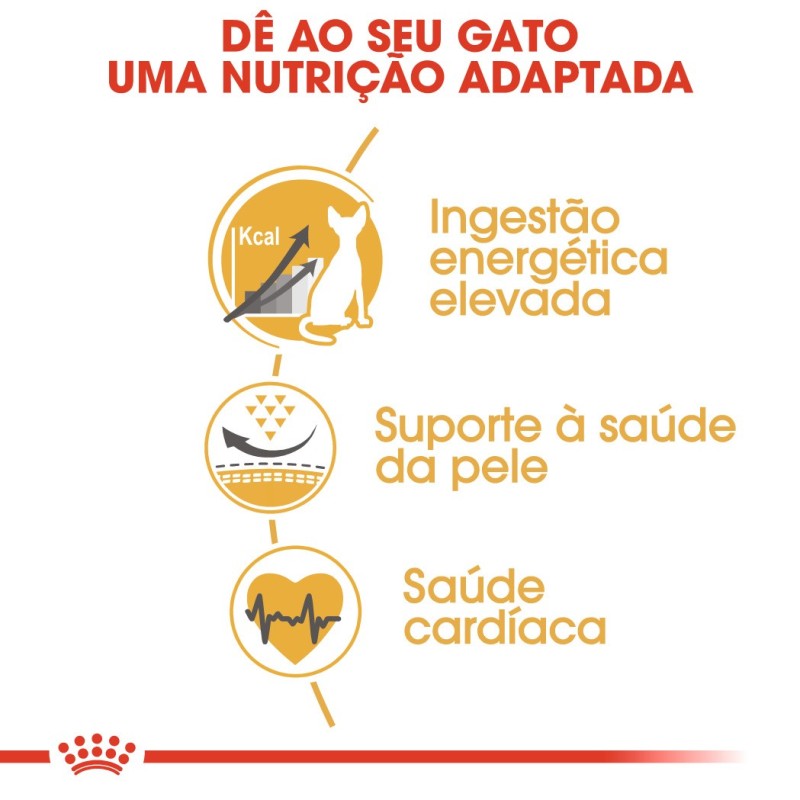 Ração para gato Royal Canin Sphynx Adulto
