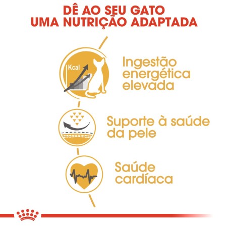 Ração para gato Royal Canin Sphynx Adulto