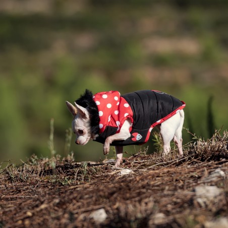Casaco impermeável Minnie Mouse para cão - Disney