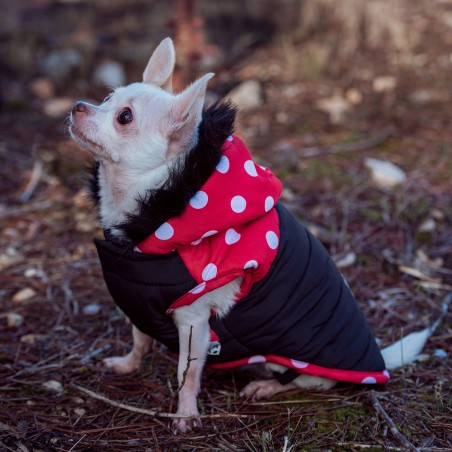 Casaco impermeável Minnie Mouse para cão - Disney