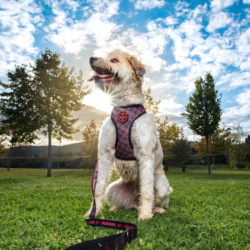 Peitoral reversível Deadpool para cão - Marvel Peitoral reversível Deadpool para cão - Marvel