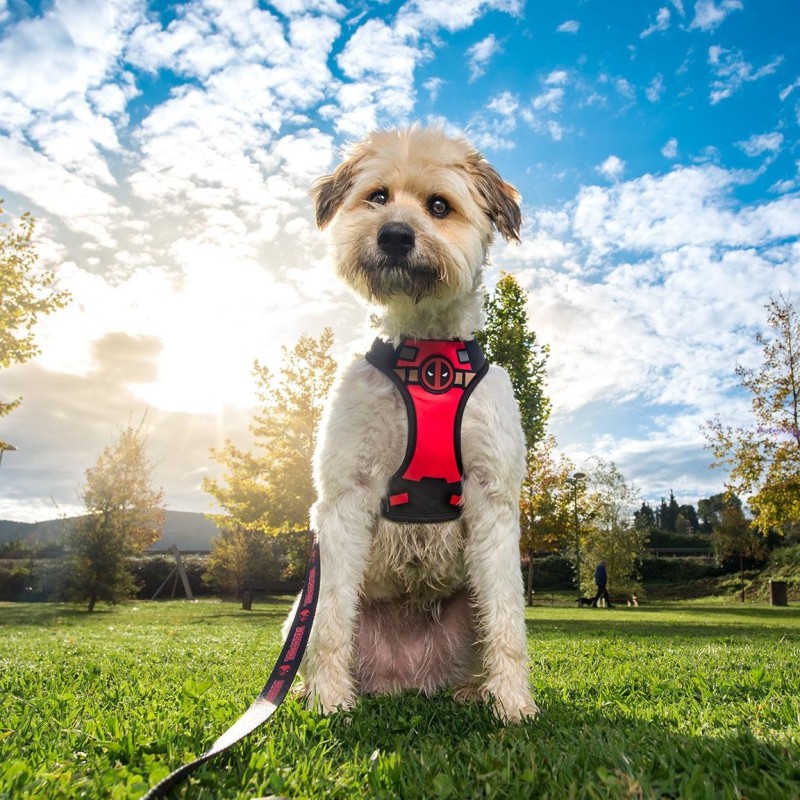 Peitoral reversível Deadpool para cão - Marvel Peitoral reversível Deadpool para cão - Marvel