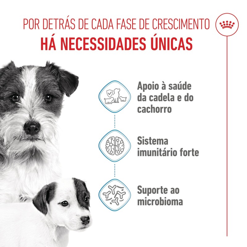 Ração para cão - Royal Canin Starter Mother & Babydog Mini