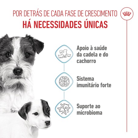 Ração para cão - Royal Canin Starter Mother & Babydog Mini