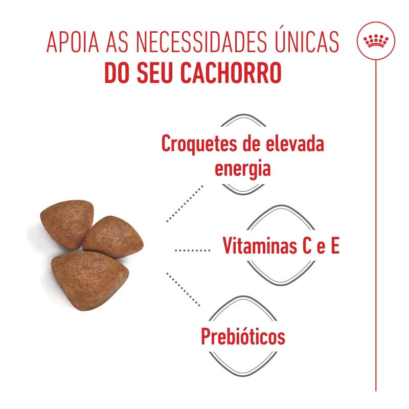 Ração para cão - Royal Canin Starter Mother & Babydog Mini