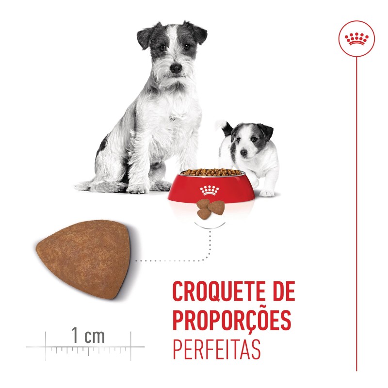 Ração para cão - Royal Canin Starter Mother & Babydog Mini