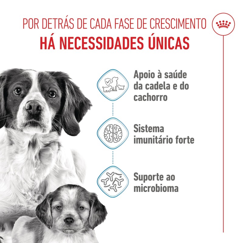 Ração para cão - Royal Canin Medium Starter Mother & Babydog
