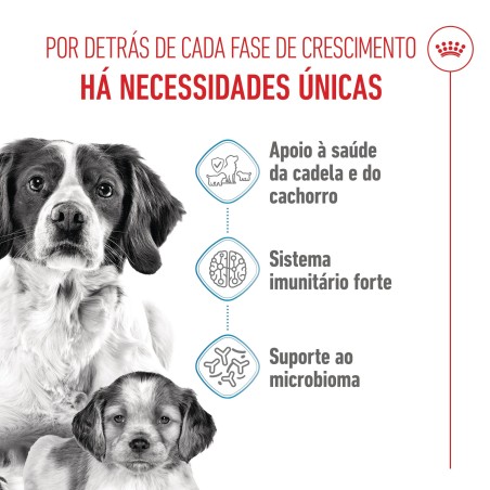 Ração para cão - Royal Canin Medium Starter Mother & Babydog