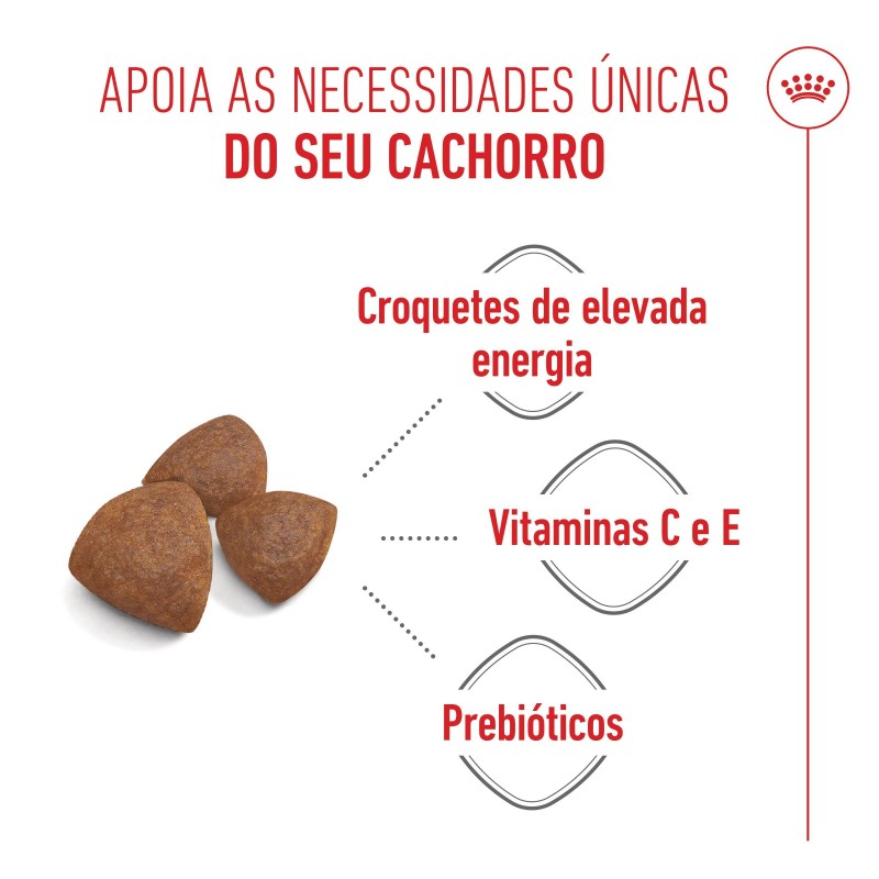 Ração para cão - Royal Canin Medium Starter Mother & Babydog