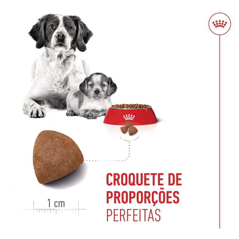 Ração para cão - Royal Canin Medium Starter Mother & Babydog