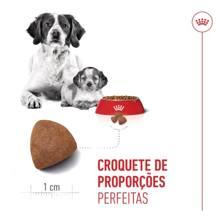 Ração para cão - Royal Canin Medium Starter Mother & Babydog