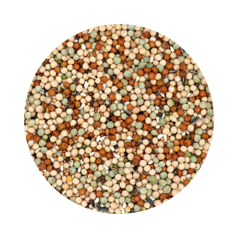 Mistura Gra-Mix Pombos Basic - Versele-Laga
