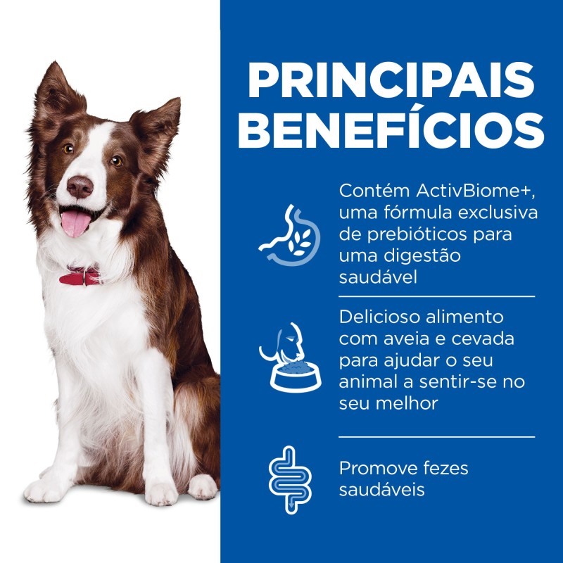 Hill's Perfect Digestion Medium - Ração seca para cão adulto - Frango