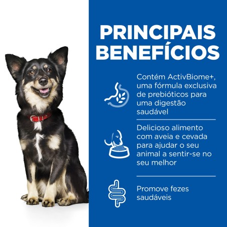Hill's Perfect Digestion Small & Mini - Ração seca para cão adulto - Frango