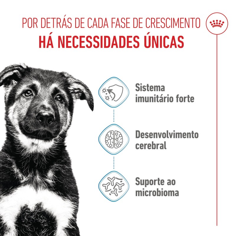 Ração para cão - Royal Canin Maxi Puppy