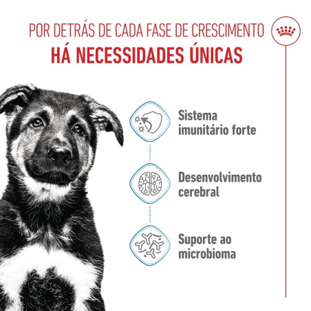 Ração para cão - Royal Canin Maxi Puppy