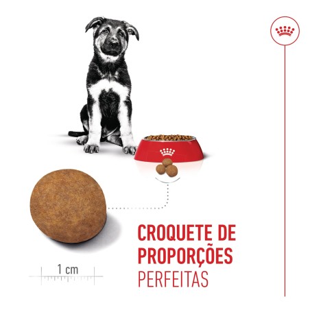 Ração para cão - Royal Canin Maxi Puppy