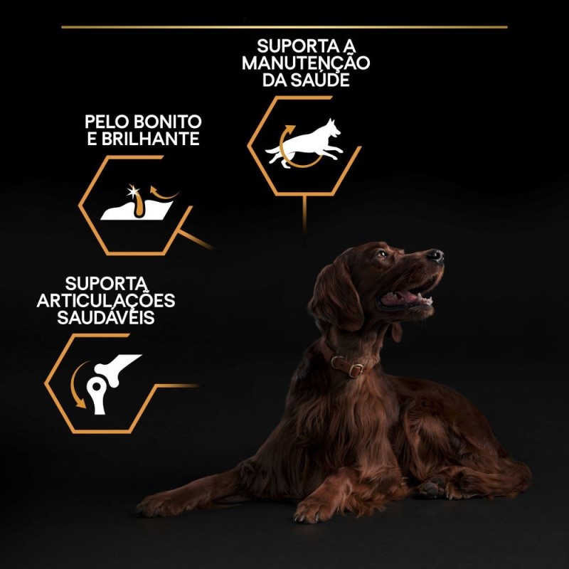 Ração para cão Pro Plan Everyday Nutrition Large Athletic Adulto Frango