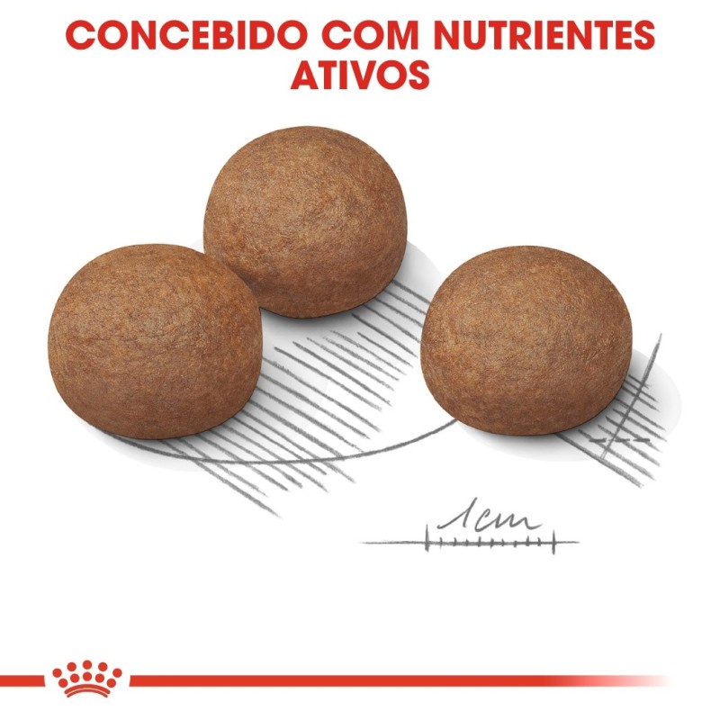 Ração para cão Royal Canin Digestive Care Maxi