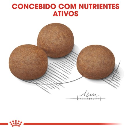 Ração para cão Royal Canin Digestive Care Maxi