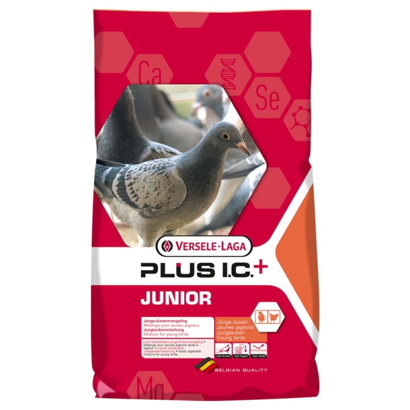 Junior Plus IC+ - Alimento completo para pombo jovem - Versele-Laga