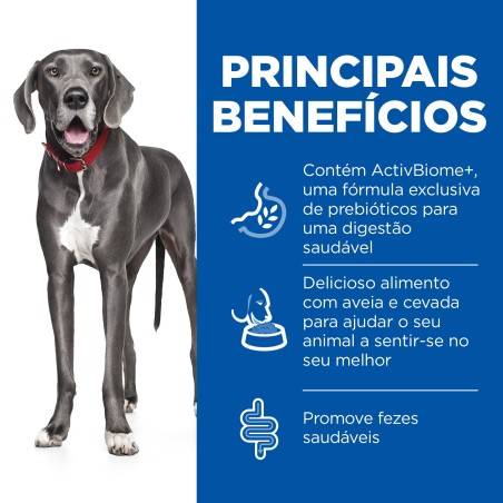 Ração seca para cão adulto de porte grande - Frango e arroz - Hill's Perfect Digestion Large