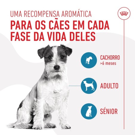 Royal Canin Training Treats - Snacks para cão e cachorro