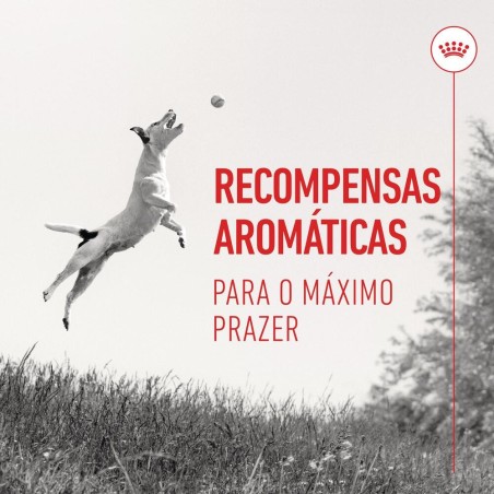 Royal Canin Training Treats - Snacks para cão e cachorro