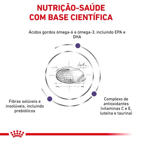 Ração para cão de porte médio - Royal Canin Adult Medium Dogs