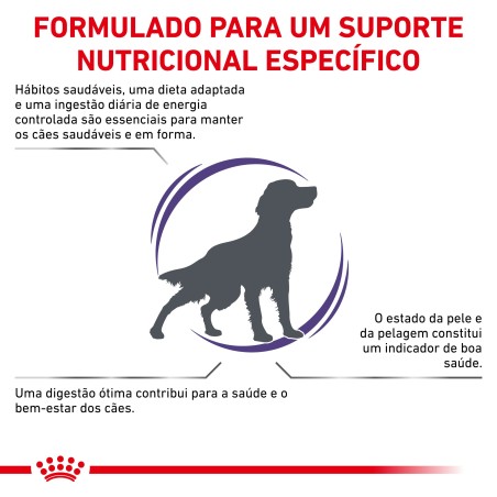 Ração para cão de porte médio - Royal Canin Adult Medium Dogs